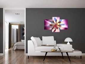 Tablou - Laleaua detailat (90x60 cm)