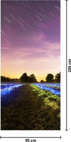 Fototapet pentru ușă - Câmp colorat (95x205cm)
