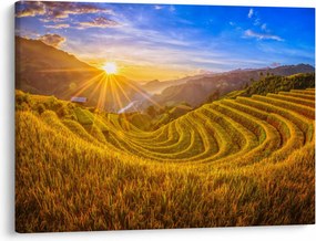 Tablou - Terasele de orez din Vietnam (70x50 cm)