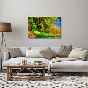 Tablou - poteci pe malul apei (90x60 cm)