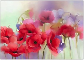 Tablou - Maci (70x50 cm)