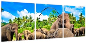 Tablou - Elefanți, Sri Lanka (cu ceas) (90x30 cm)