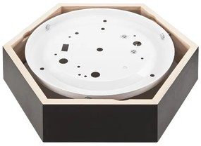 Plafonieră HEX 1xE27/60W/230V d. 32 cm negru pin