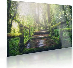 Tablou pe sticlă - trepte din lemn în pădure (70x50 cm)