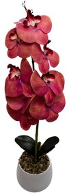 Floare decorativă în ghiveci ceramică, orhidee roz