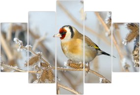 Tablou - Ciredeaua (150x105 cm)