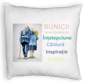 Perna Decorativa Fluffy, pentru Bunici 8, 40x40 cm, Alba, Husa Detasabila, Burduf