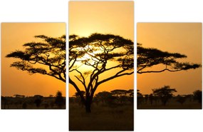 Tablou - Savana africană (90x60 cm)
