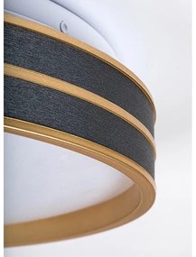 Rabalux 71141 - Plafonieră LED GANDOR, dimabilă, 24W/230V, 3000-6500K