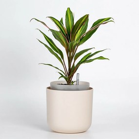 Ghiveci cu auto-irigare Plastia Tolita, bej, diam. 16 cm, diam. 16 cm