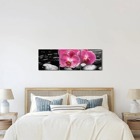 Tablou - Orhidee roz (cu ceas) (90x30 cm)
