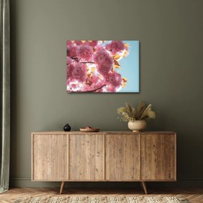 Tablou - Floare de cireș (70x50 cm)