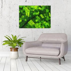 Tablou - Detaliu frunze (70x50 cm)