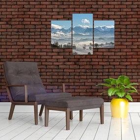 Tablou cu munții înzăpeziți (90x60 cm)