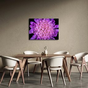 Tablou detailat cu floare (70x50 cm)