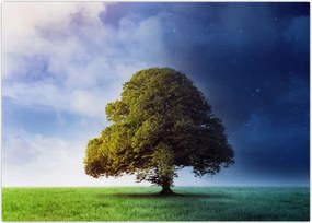 Tablou - Noapte și zi (70x50 cm)