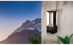 Aplică LED de exterior cu senzor RIFORANO 2xLED/5W/230V IP44 Eglo 98726