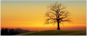 Tablou - Copacul în câmp (120x50 cm)