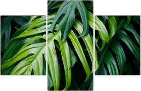 Tablou - Frunze tropicale (90x60 cm)