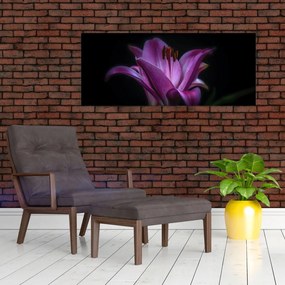 Tablou crinul (120x50 cm)
