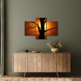 Tablou cu copac în apus de soare (90x60 cm)