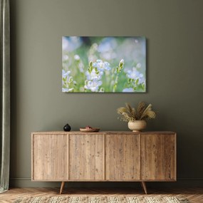 Tablou - Flori delicate (90x60 cm)