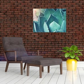 Tablou - Suculent (70x50 cm)