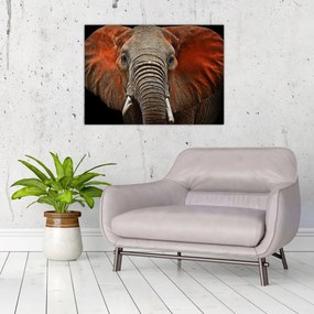 Tablou pe sticlă - Elefanți cu Tsavo (70x50 cm)