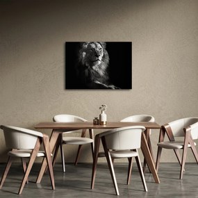 Tablou - Leu (70x50 cm)
