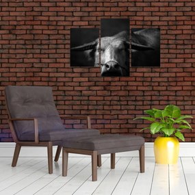 Tablou - Vacă (90x60 cm)