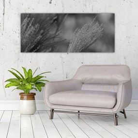 Tablou - Iarbă de pampas uscată (120x50 cm)