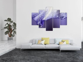 Tablou - Petală cu picături (150x105 cm)