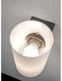 Aplică de exterior 1xE27/15W IP54 TUBE 230V Paulmann 94186