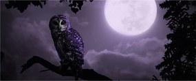 Tablou - Bufniță de noapte, violet (120x50 cm)