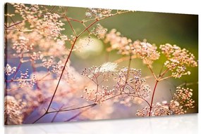 Tablou din flori natura moartă