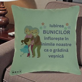 Cadou pentru Bunici - Perna Personalizata Bunicii Iubirea Infloreste Bunici cu Nepoata Colorat, 40x40 cm, Verde, Husa Detasabila, Perna Inclusa, BEKZ®