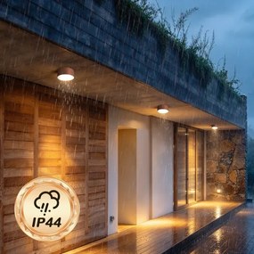 BRILAGI - Plafonieră LED pentru exterior FORIS LED/14W/230V, diametru 12 cm, bronz, IP44