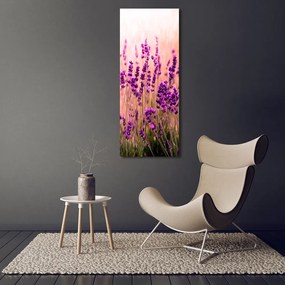 Imprimare tablou canvas Câmp de lavandă