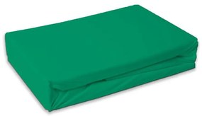 Colorat Menthol Cearșaf Montat Frottir Verde 180x200 cm