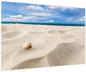Tablou - Scoici pe plajă (90x60 cm)