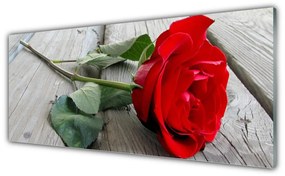 Tablou pe sticla Rose Floral Roșu Verde