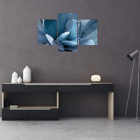 Tablou - Agave (90x60 cm)