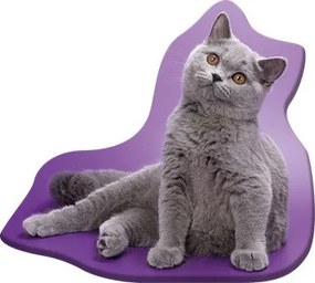Pisică Grey pernă decorativă 36x40 cm Velur