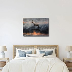 Tablou cu capră de munte în foc (70x50 cm)