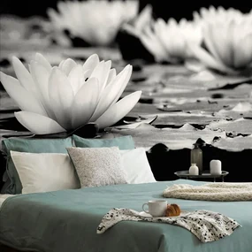 Fototapet floare de lotus în alb-negru