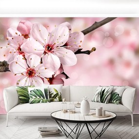 Fototapet Floare roz