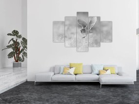 Tablou - Bufniță,alb-negru (150x105 cm)