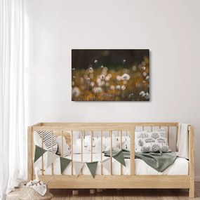 Tablou - Pajiște cu iarbă de cozonac N⁰2 (90x60 cm)