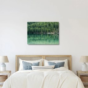 Tablou pe sticlă - Coniferi lângă lac (70x50 cm)