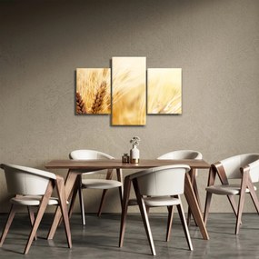 Tablou- detaliu cu (90x60 cm)